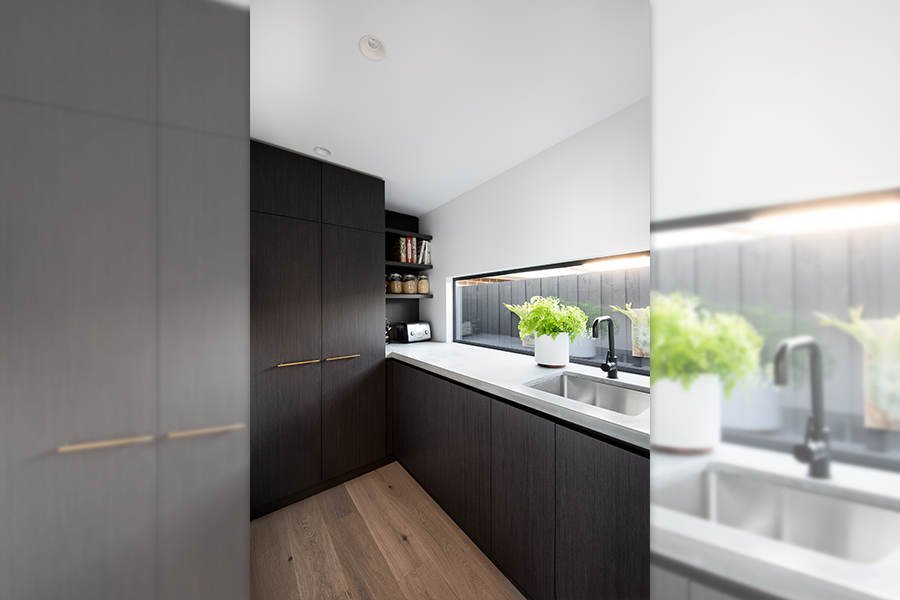 Queen Victoria Project Image 6