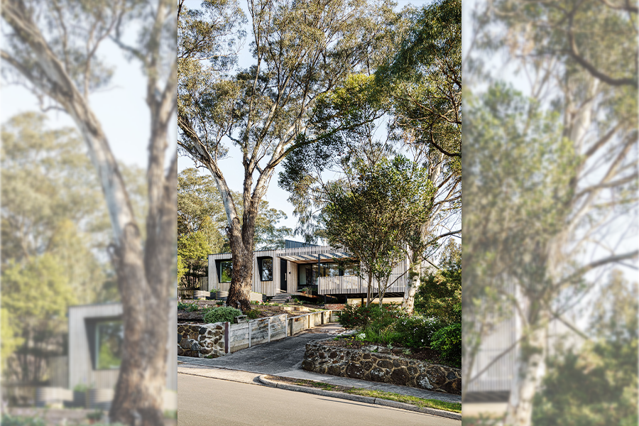 Silvertop house Project Image 2